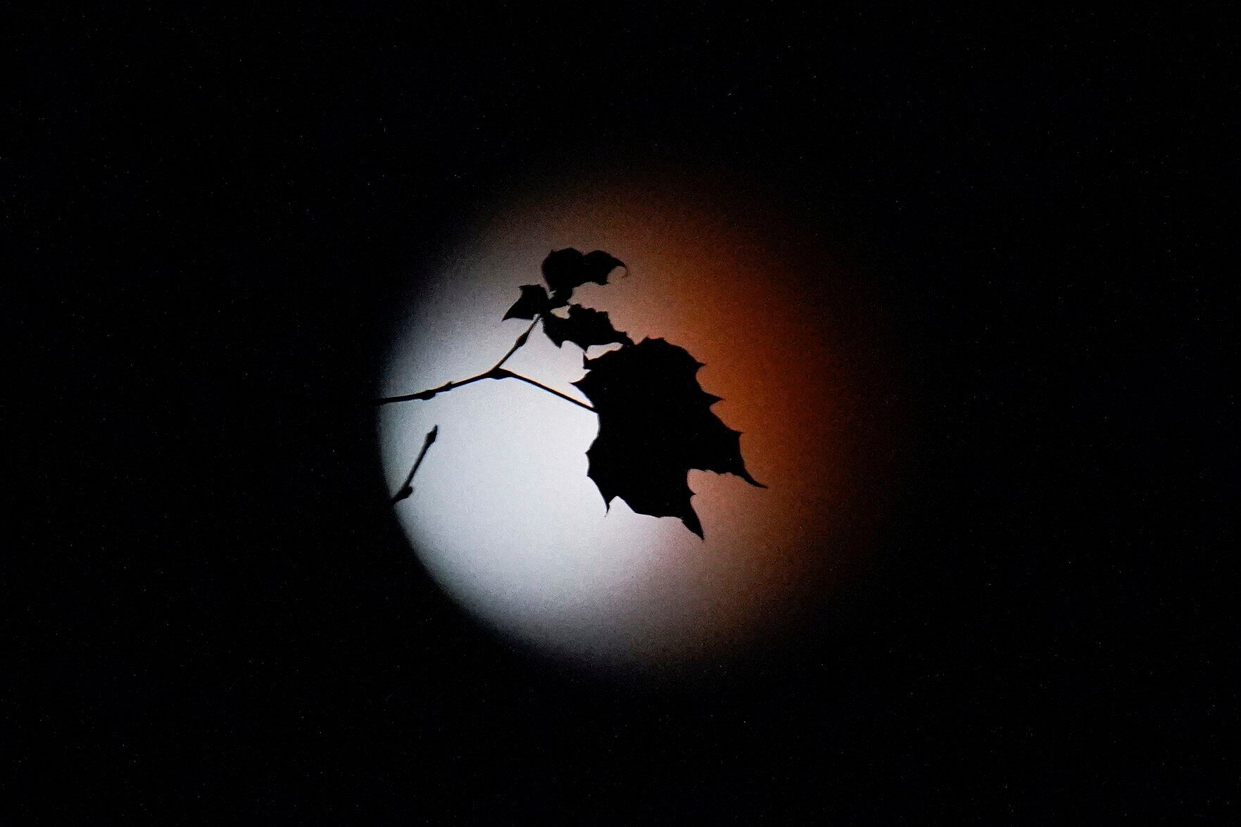 Maryland Lunar Eclipse